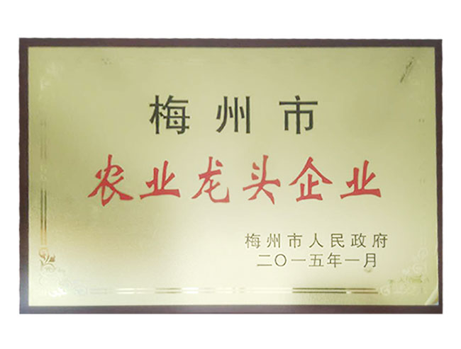 梅州市農(nóng)業(yè)龍頭企業(yè)